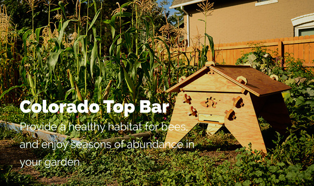 A Colorado Top Bar Beehive